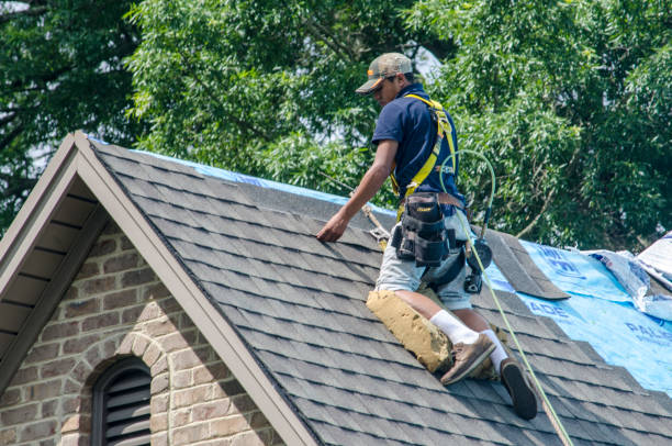 Best Shingle Roofing Installation  in Crivitz, WI